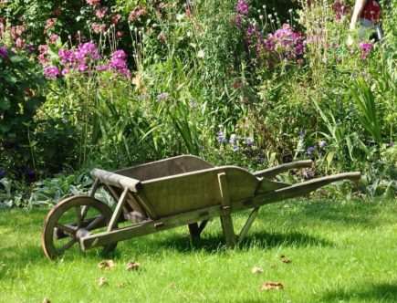 lavori giardinaggio