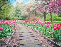 Pavimentazione giardino