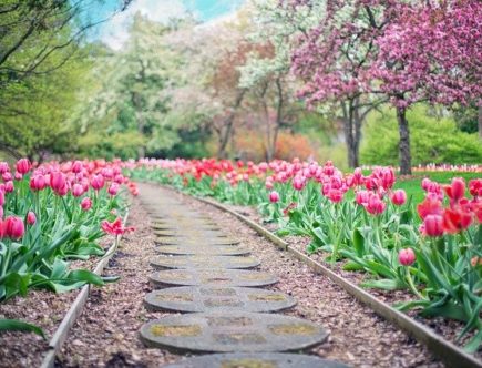 Pavimentazione giardino