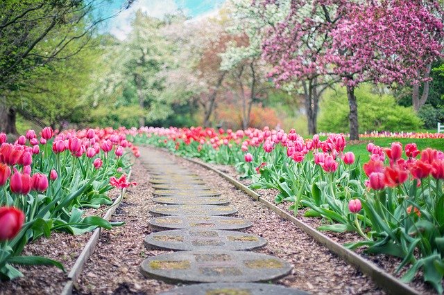 Pavimentazione giardino