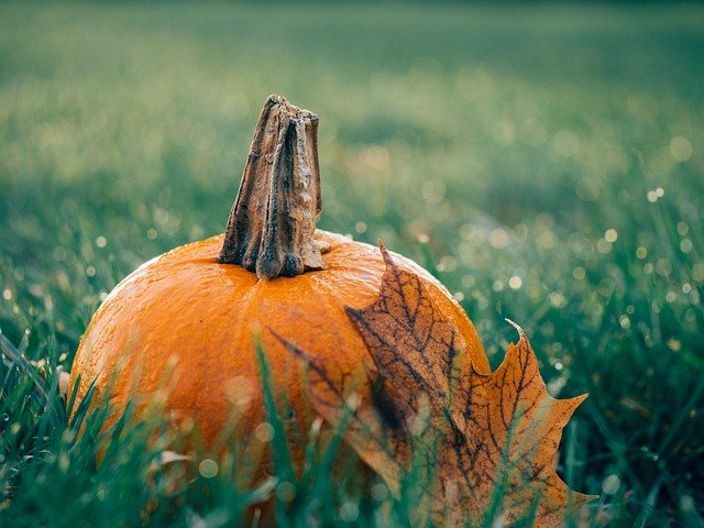 curare il prato in autunno