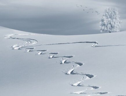 Come proteggere le piante dalla neve