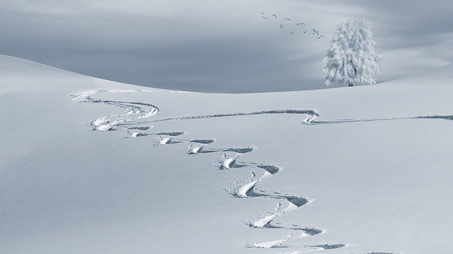 Come proteggere le piante dalla neve